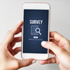  surveys